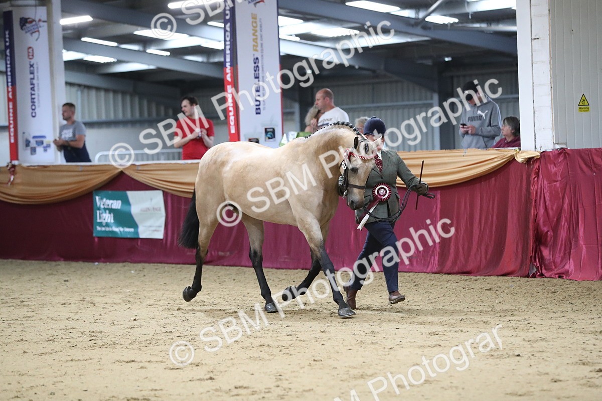 SBM_05068_Class 8r - Regional IH Veteran - Cart - Laura