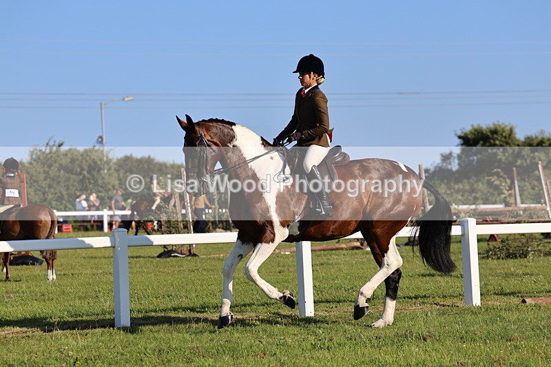 IMG_1242 - Class 27: Ridden Plaited Coloured Horse
