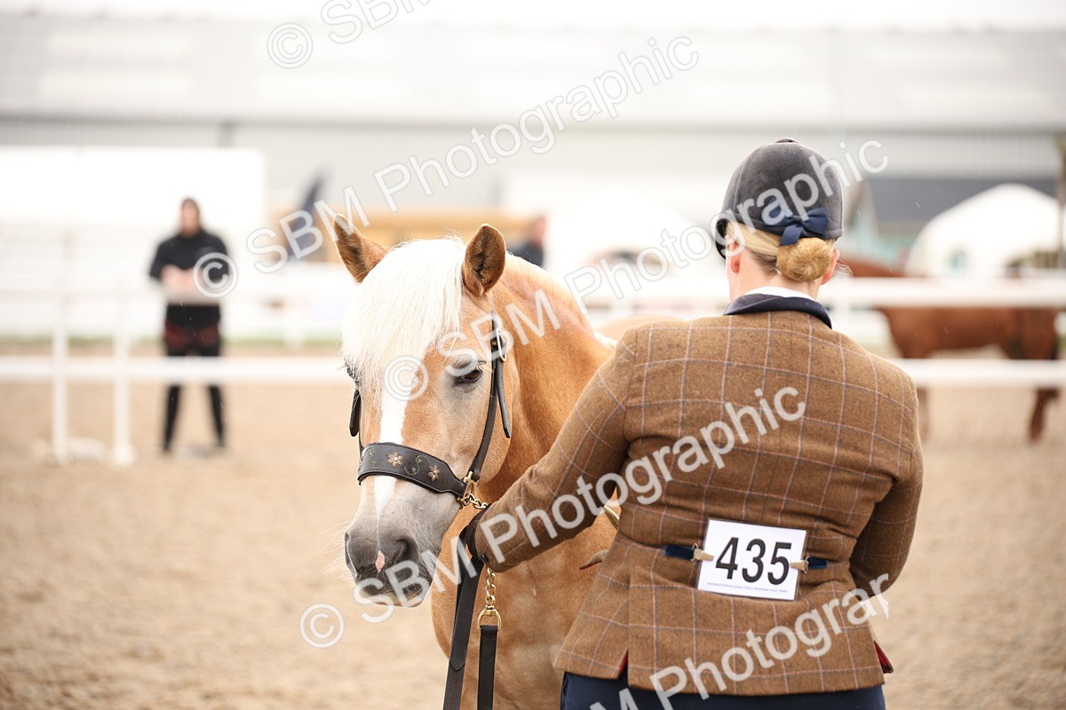 SBM_19292 - Class 701 - Best Turned Out IH & Ridden