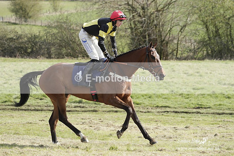 PtP 080423 637 - Dingley Races The Woodland Pytchley Hunt PtP 08/04/23