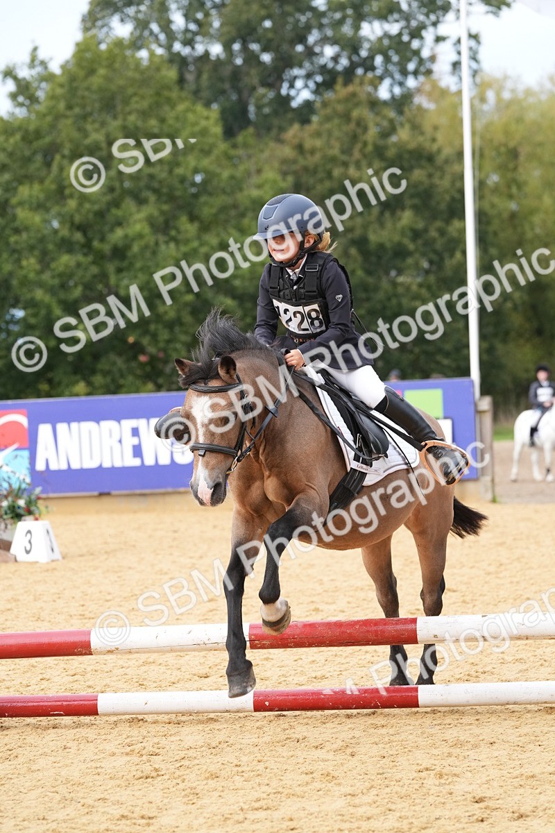 SBM_70602 - J3 - Mini Tour Junior Pony 40cm Championship