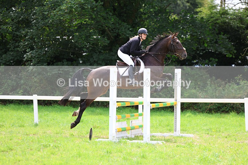 3E7A6942 - Class 5: Senior British Novice/90cm open