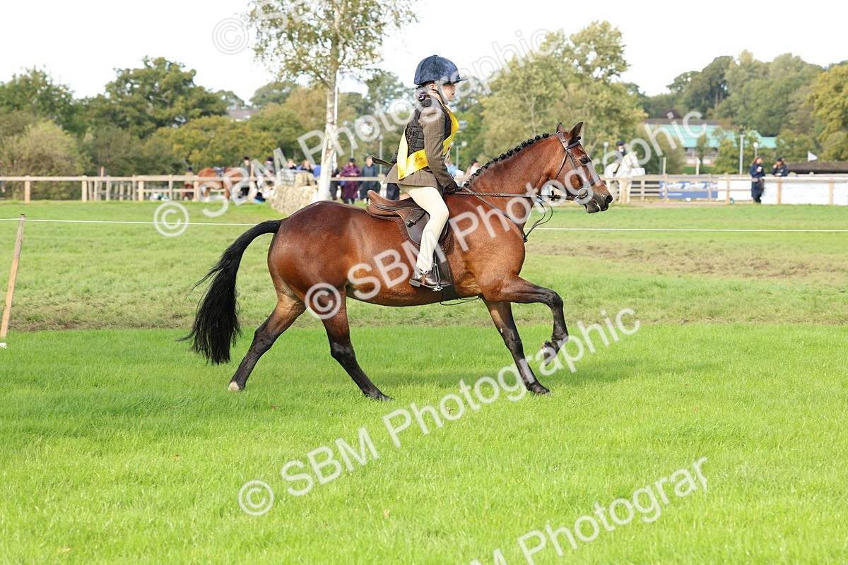 SBM_46357 - Working Hunter Pony Supreme Championship