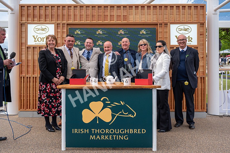 150526-Race 6-Fortification-3177 - Race 6 4.40pm Irish Thoroughbred Marketing Handicap