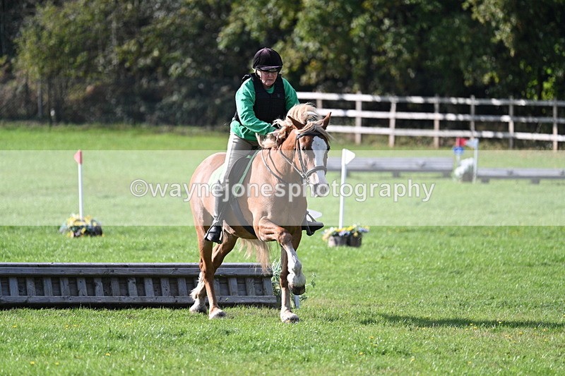 WJ7_3471 - 40cm Time 10:08 to 10:25