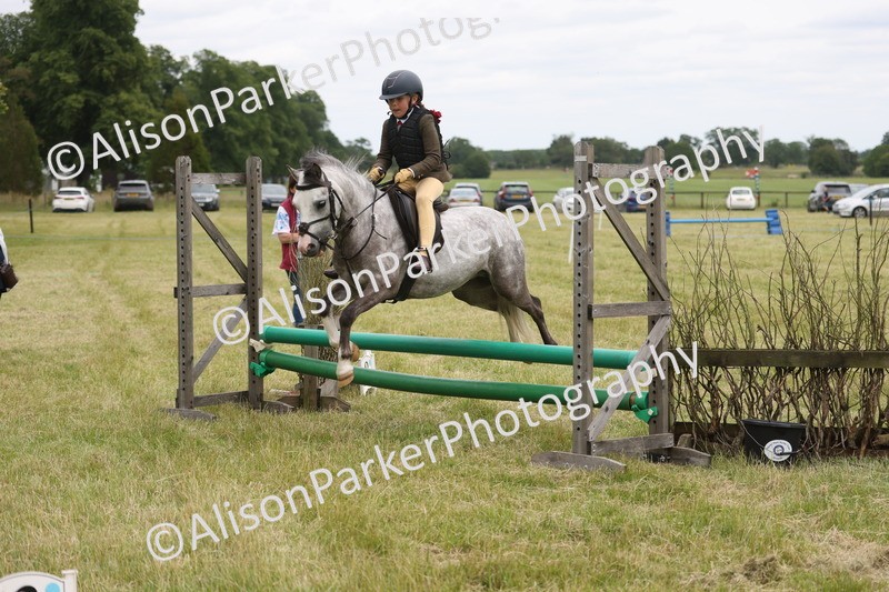 20260614-3131 - Class 22 - Open Working Hunter