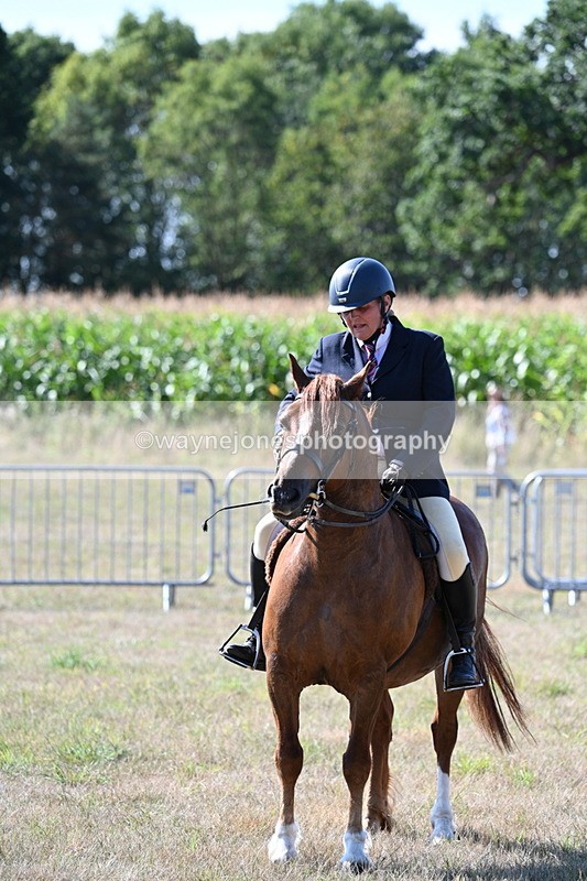 WJ7_3663 - Class 9 Mountain & Moorland Ridden