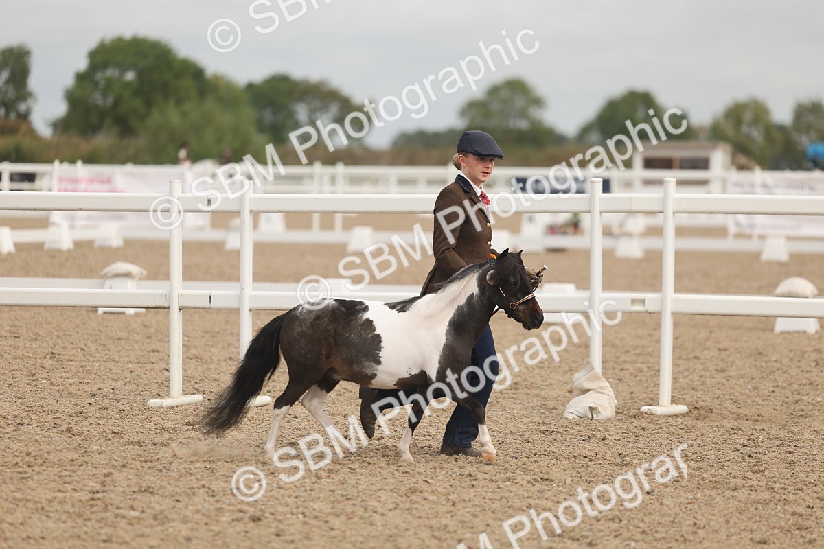 SBM_02155 - Class 15 - IH Coloured