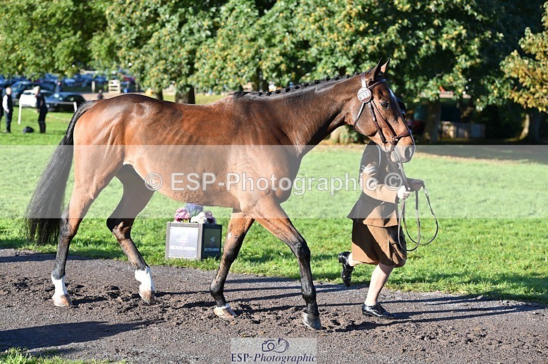 231022-094648-22025 - 450-NORDIC.FIRE-Lara.Hails-TrotUp+SJ