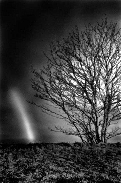 BW6 - Black & White