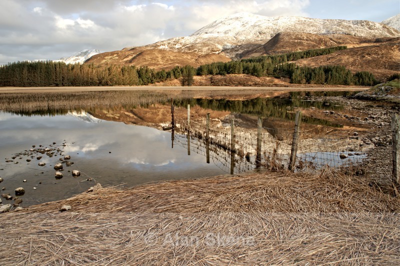 DSC03970 - Skye