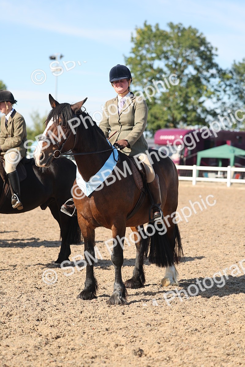SBM_12426 - Class 304 - Ridden part Bred Horse Pony