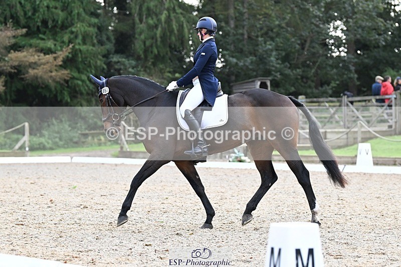 231019-145007-04282 - 057-OVERTON.TILANA'S.GOLD-Claire.Deuten-DR