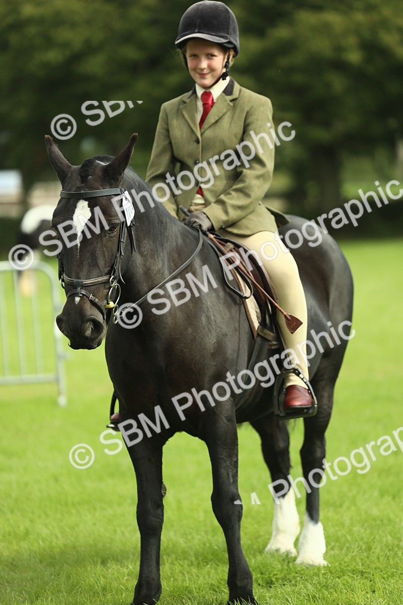 SBM_44788 - S31 - Working Hunter Pony