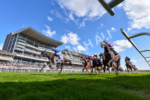 240824-Race 5-Elmonjed-4611 - Race 5 4.10pm Sky Bet Constantine Handicap