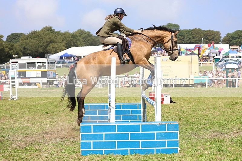 3E7A2986 - Class 7: Senior British Novice/90cm open
