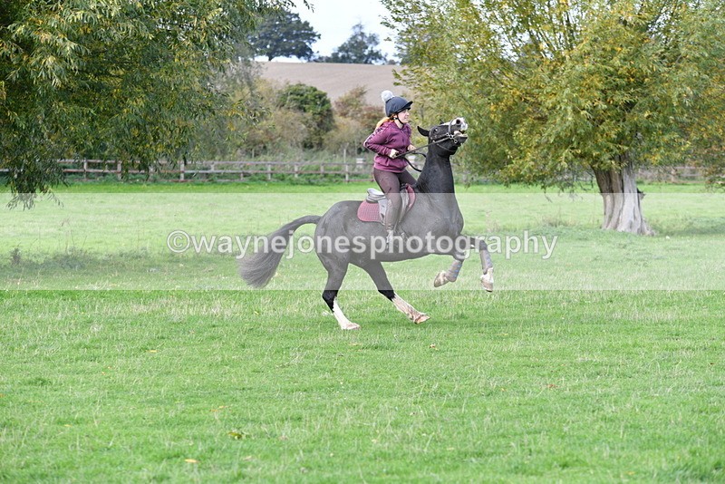 WJ5_9049 - Time 12:34 to 12:57