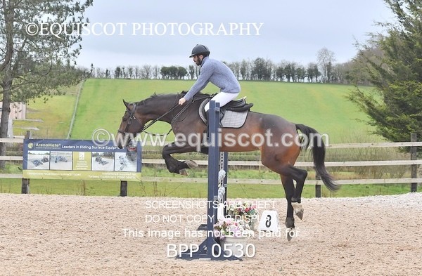 BPP_0530 - CLASS 3  Club/ Unaffiliated 90cms Open