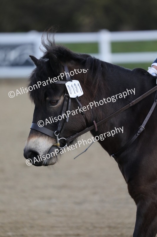 20260314-0228 - DR1 - Intro 1