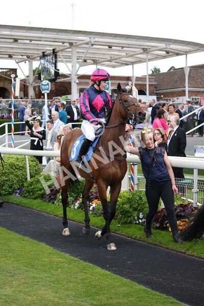 yr11062022r1-119 - Race 1 12.45pm Macmillan Ride of Their Lives, supported by Sky Bet
