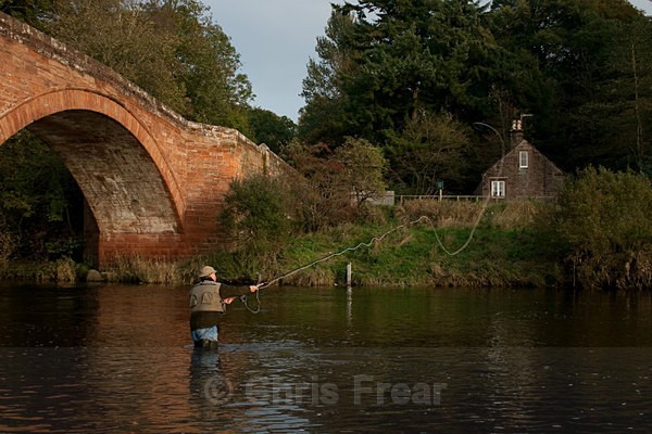 mnaa-1398 - Flyfishing Photography