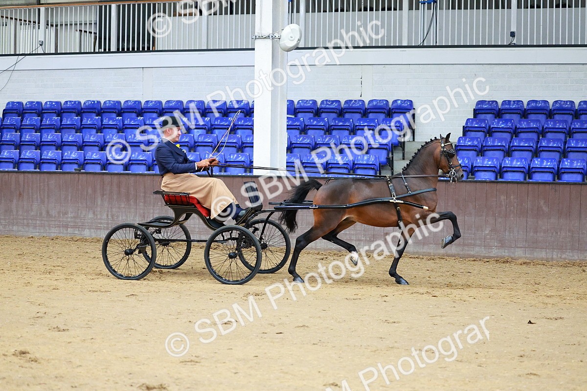 SBM_000625 - Class 9 - HHS Championship Intl Hackney Pony to a Showwagon