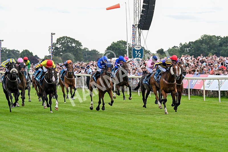 250726-Race 4-Dwindling Funds-0919 - Race 4 15.05pm Sky Bet For The Fans Handicap