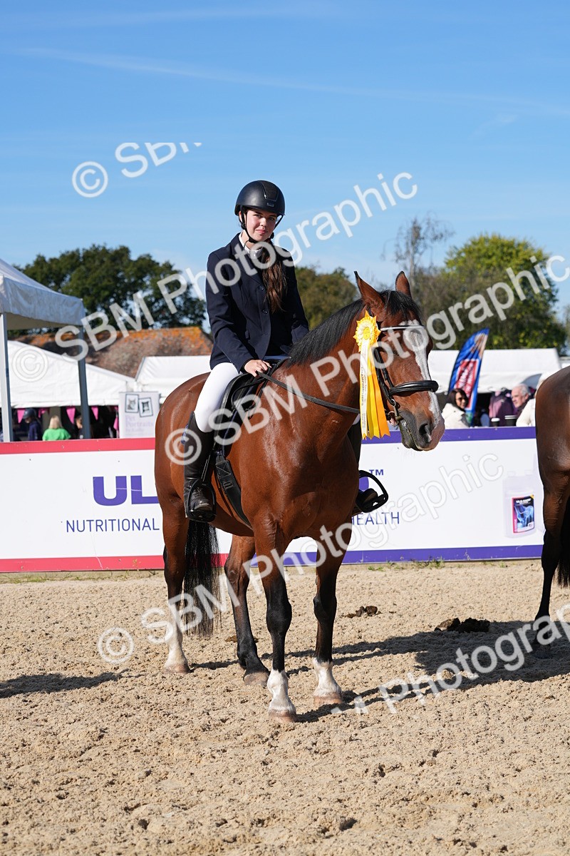 SBM_36246 - J 20 - Junior Horse 50cm Championship