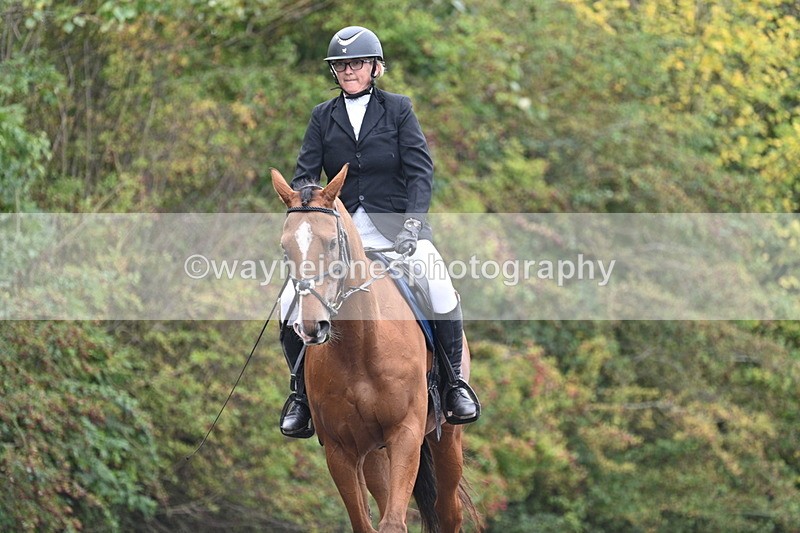 WJ7_3458 - Time 09:54 to 10:54