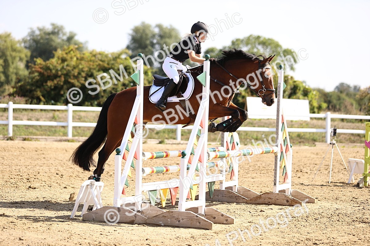 SBM_005723 - Class 9 - Senior British Novice - 90cm