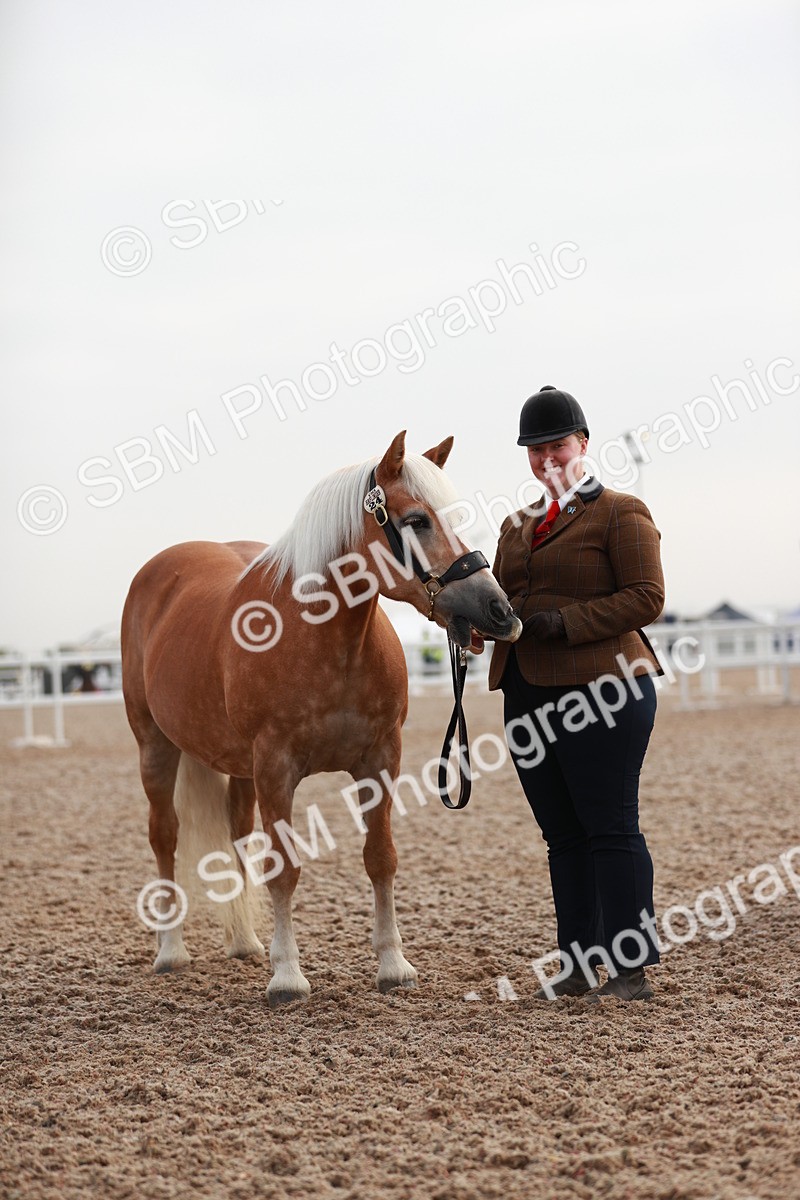 SBM_09518 - Class 201 Best Turned Out IH