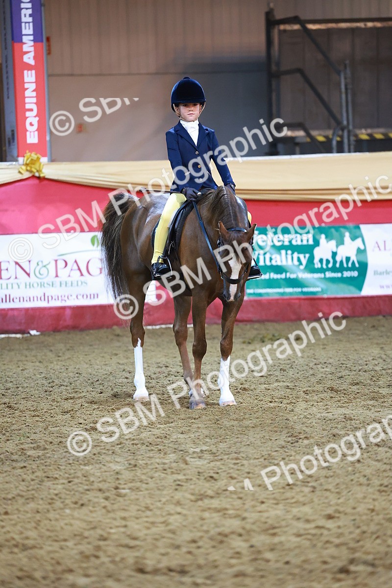 SBM_14835 - Class E - Best Turned Out Champ