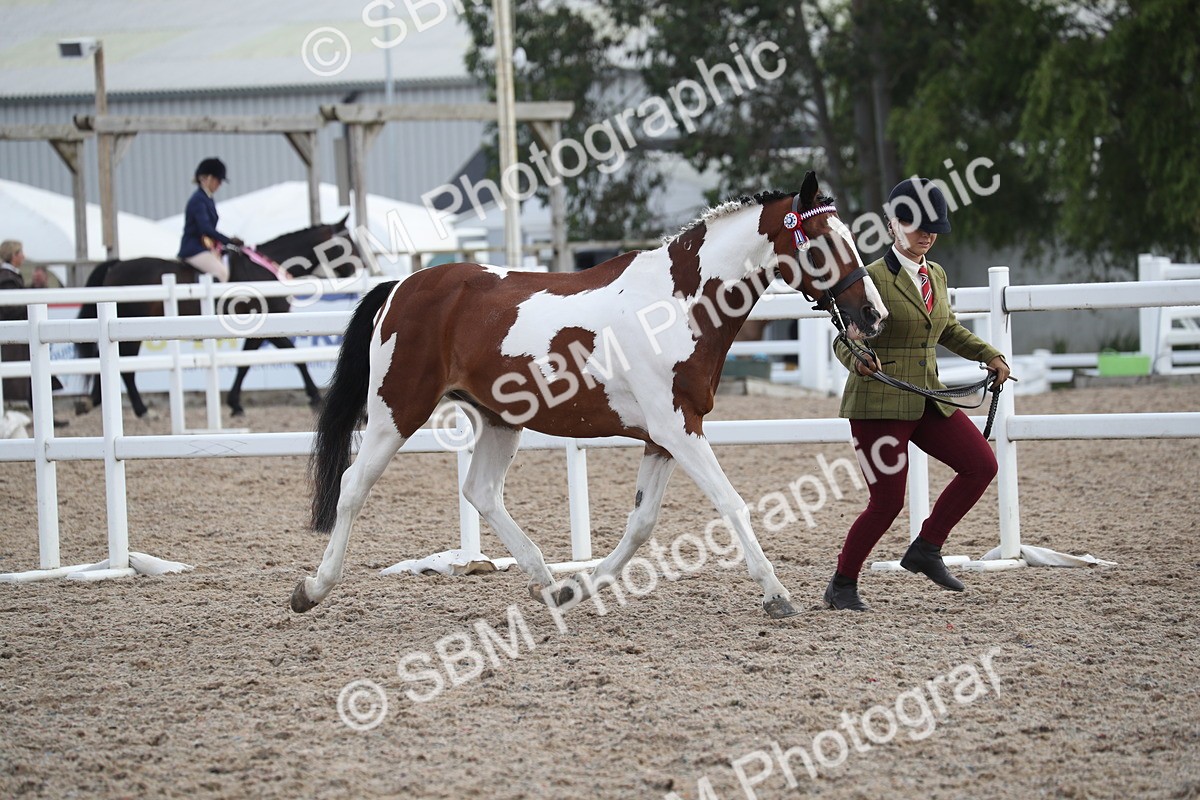 SBM_23095 - Class 605 - 2025 Area - IH Veteran