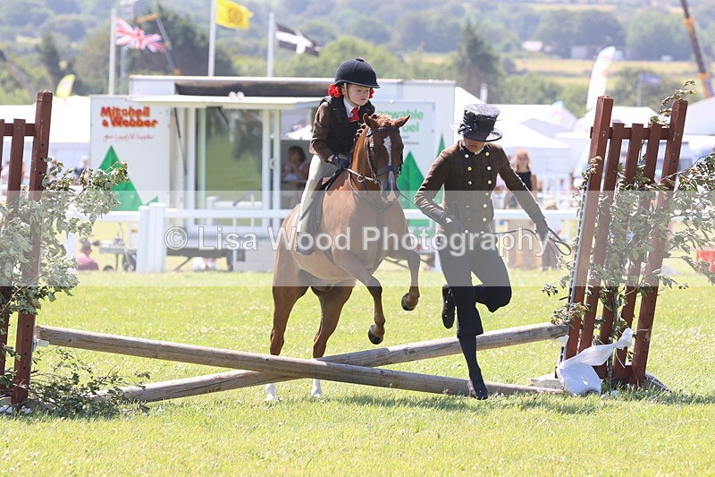 JPP_2188 - Class 20: Tiny Tots Working Hunter Pony