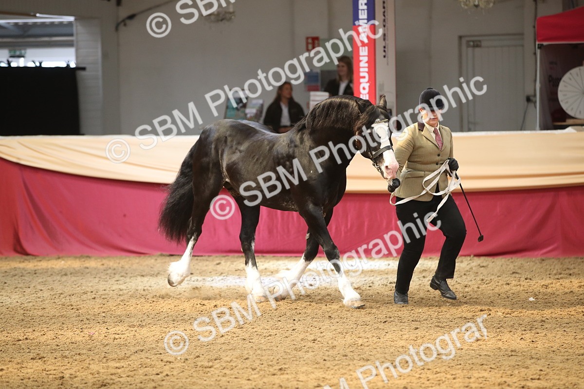 SBM_05359 - Class 8R - Regional IH Veteran