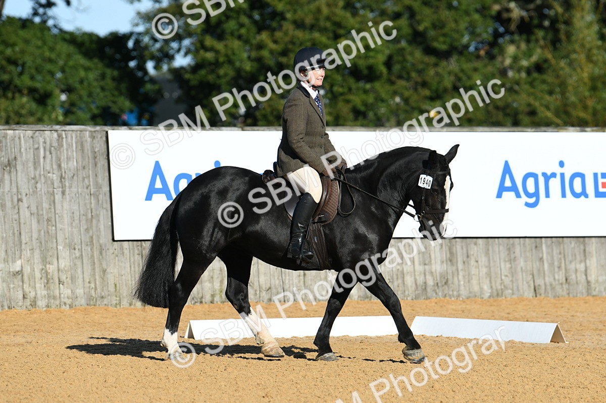 SBM_16078 - D4 - Small Tour Championship - Intro B