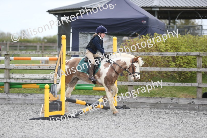 20260412-0161 - Show Jumping