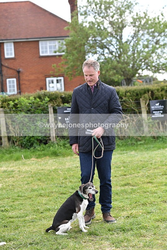 WJ5_0161 - Class 5 Best Veteran / 7 years & over