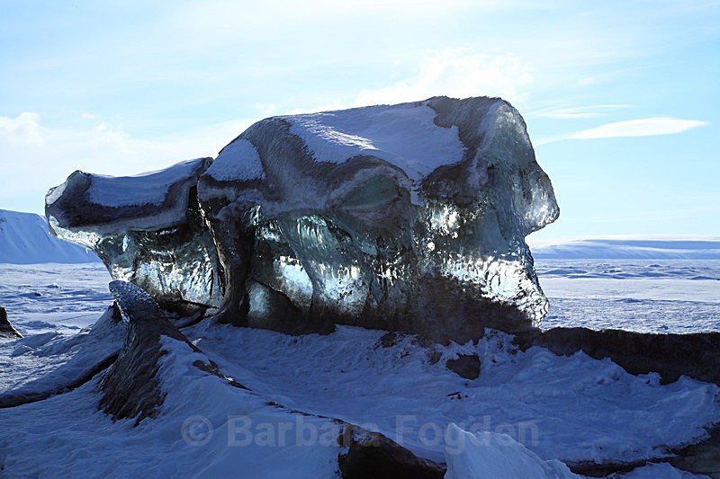 Ice 38 - Latest Photos