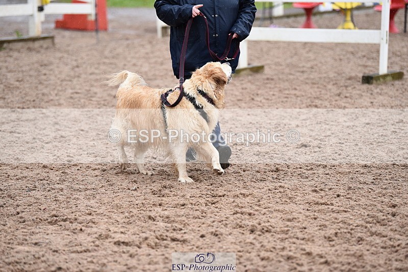 240518A-133904-01342 - Cls 9 Best in Show