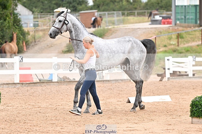 250716-155258-02256 - Trot Up 3.30 to 4.30