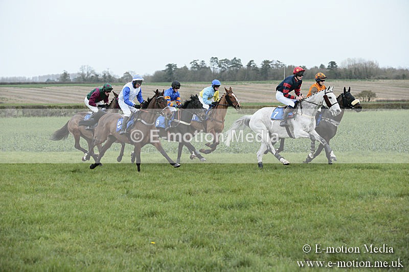 PtP 230319 88 - VWH Hunt Siddington Point-to-Point Racing 23/03/19