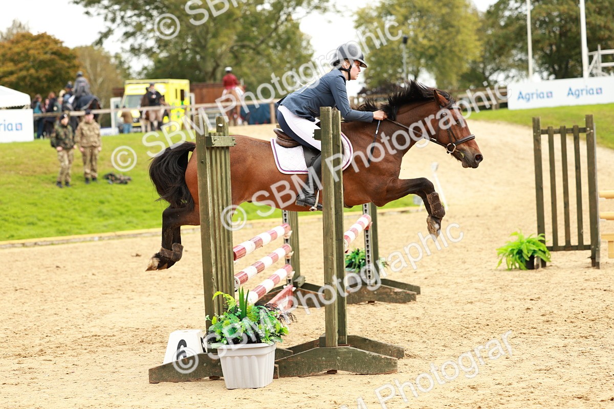 SBM_38471 - Supreme Championship 80cm 85cm