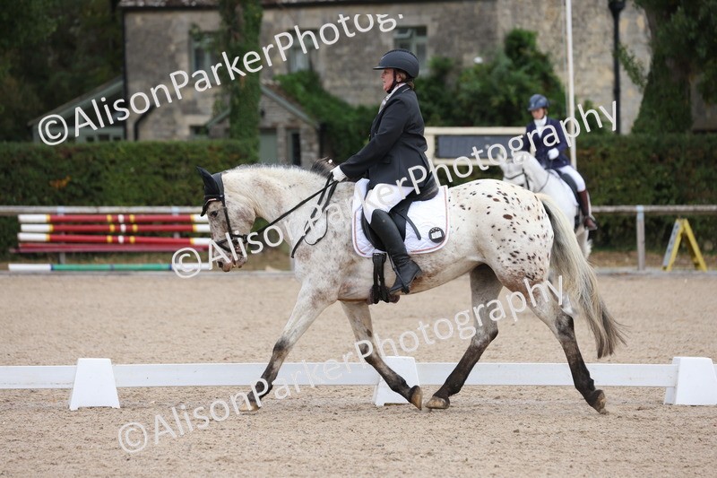 20250820-0107 - Class 7 - My Quest Intro 3