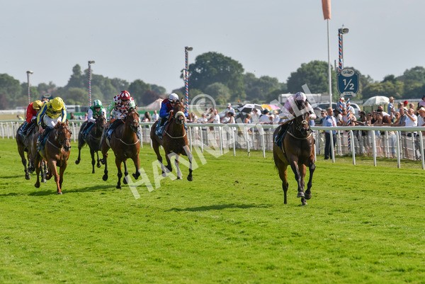 160623-Race 6-Another Investment-6493 - Race 6 4.45pm Irish Thoroughbred Marketing Handicap