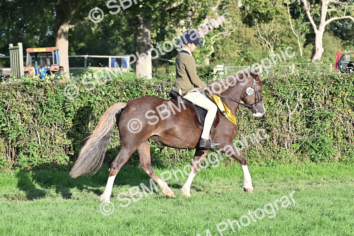 SBM_52294 - First Ridden Supreme Championship