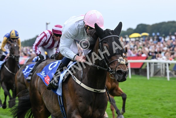 230825-133 Ethical Diamond - Race 4 3.35pm Sky Bet Ebor Handicap