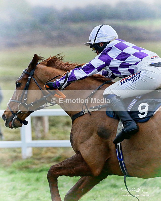 PtP 020122 477 - Larkhill Racing Club Point-to-Point 02/01/2022