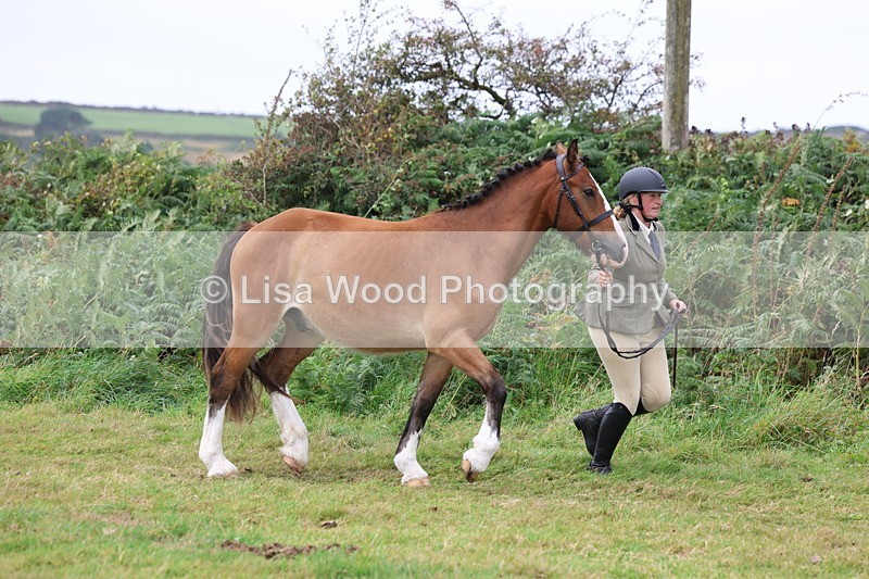 3E7A4090 - Class 15: Two Year Olds