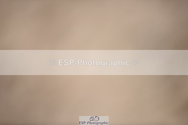 230712-123318-23137 - Cls 60 1.15m Open